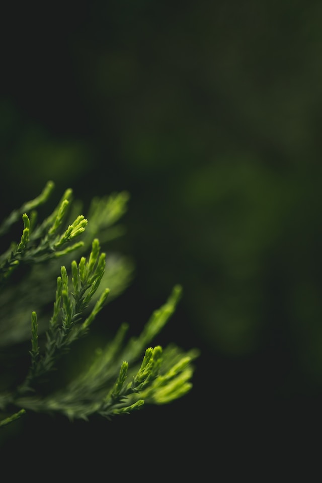 nature-natuerlich-magic-peeling-cosmetics